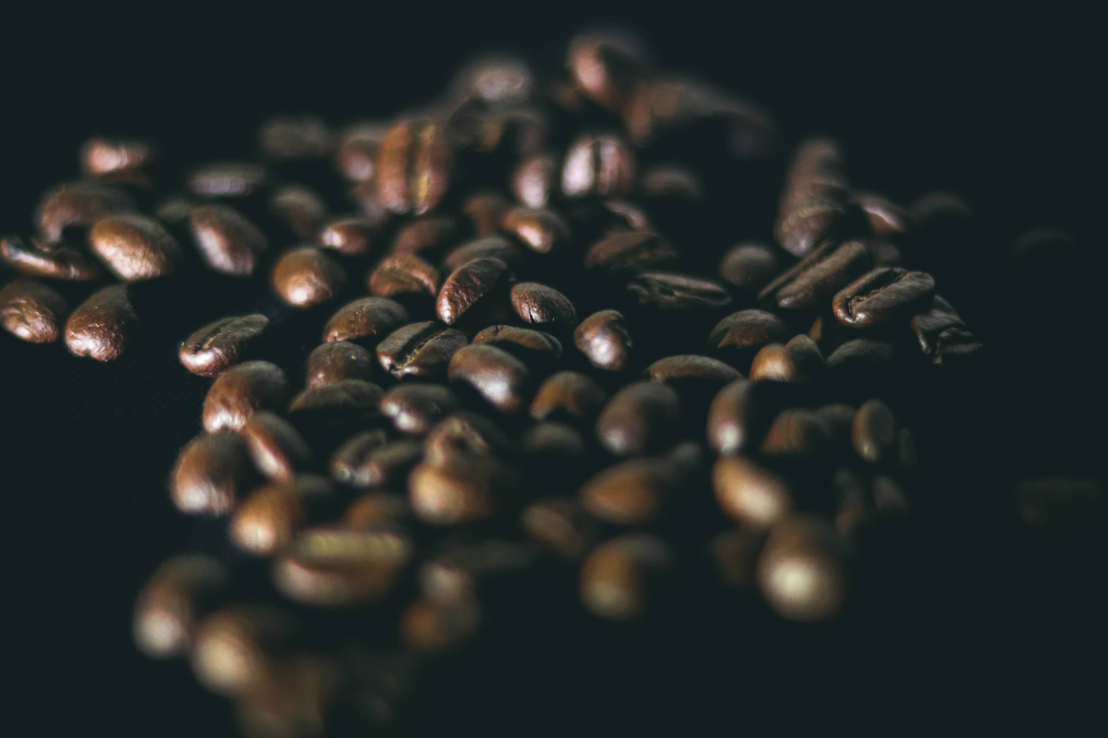 Close-up of dark roasted coffee beans